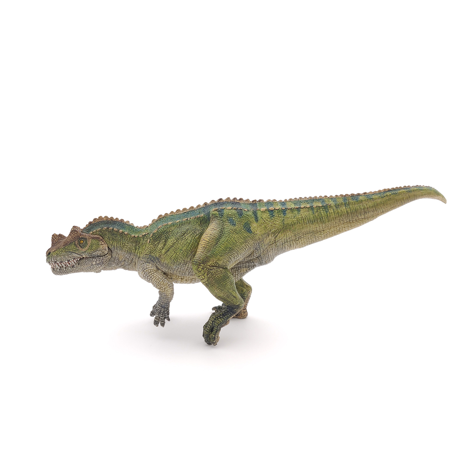 CERETOSAURUS