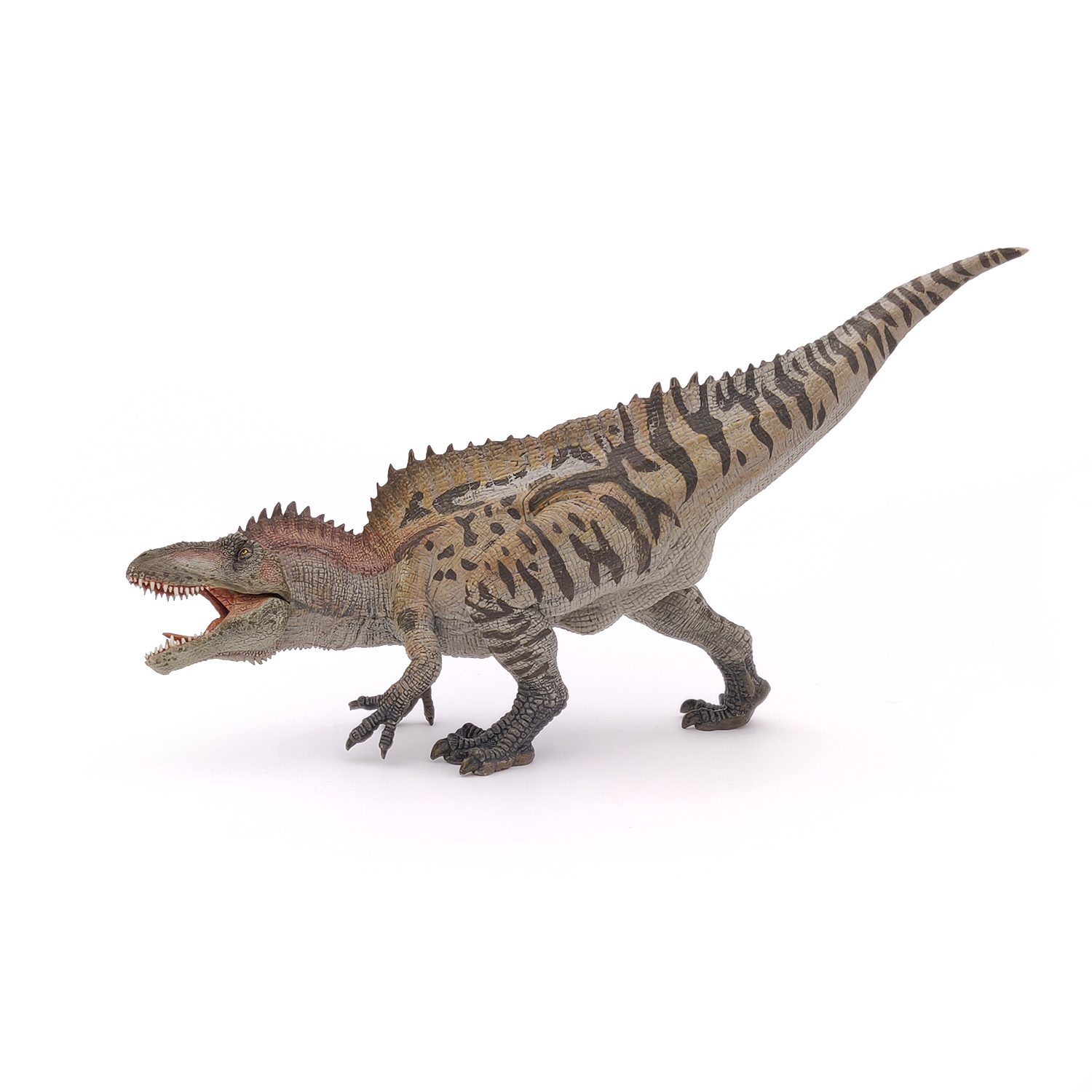 ACROCHANTOSAURYS