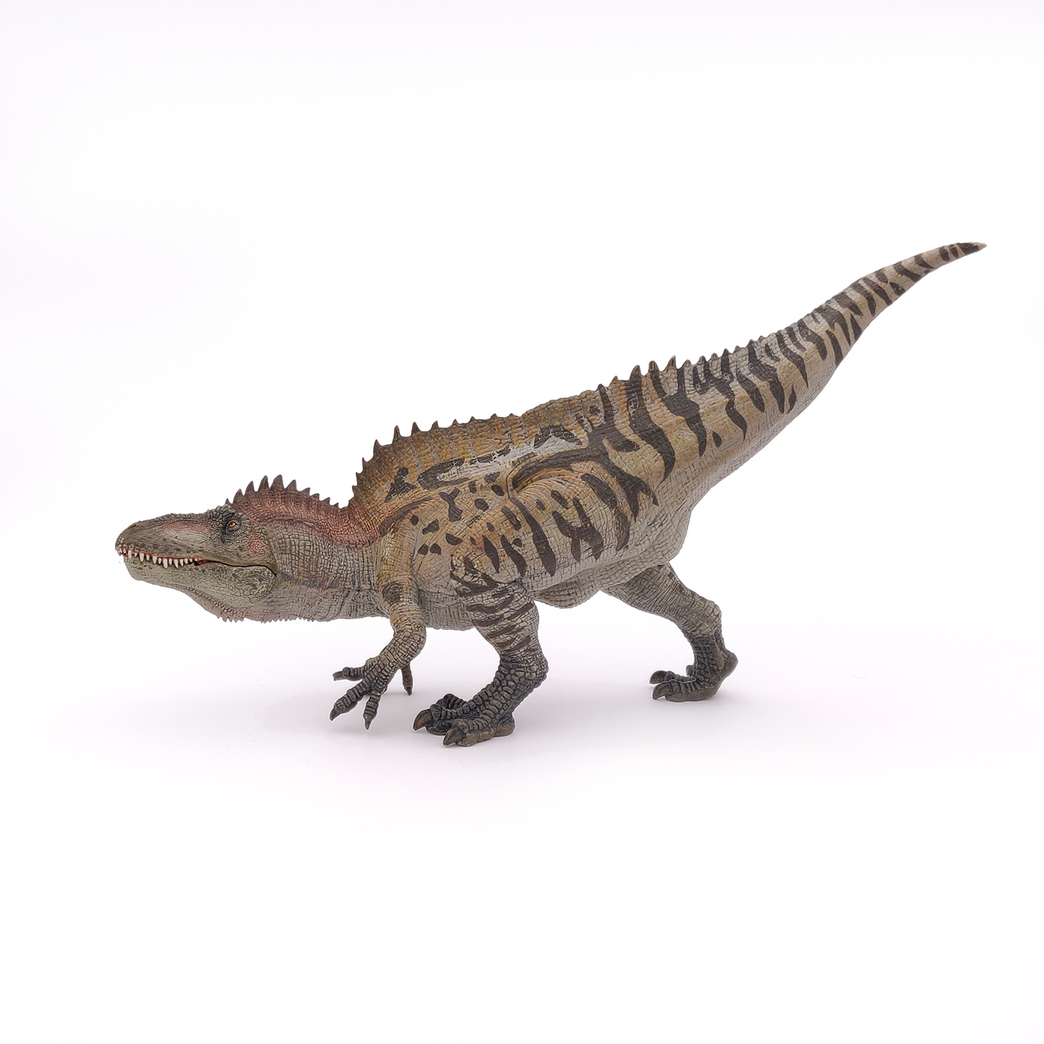 ACROCHANTOSAURYS