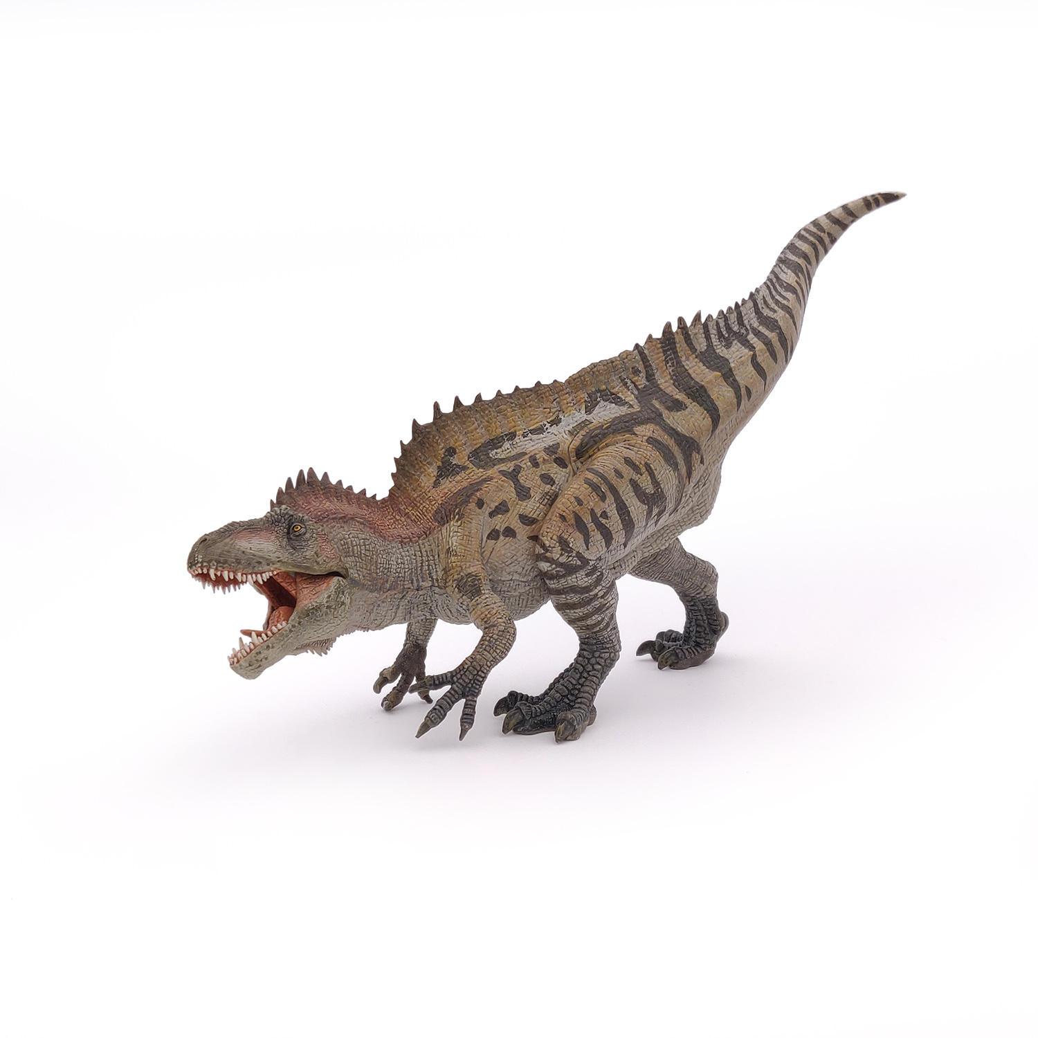 ACROCHANTOSAURYS