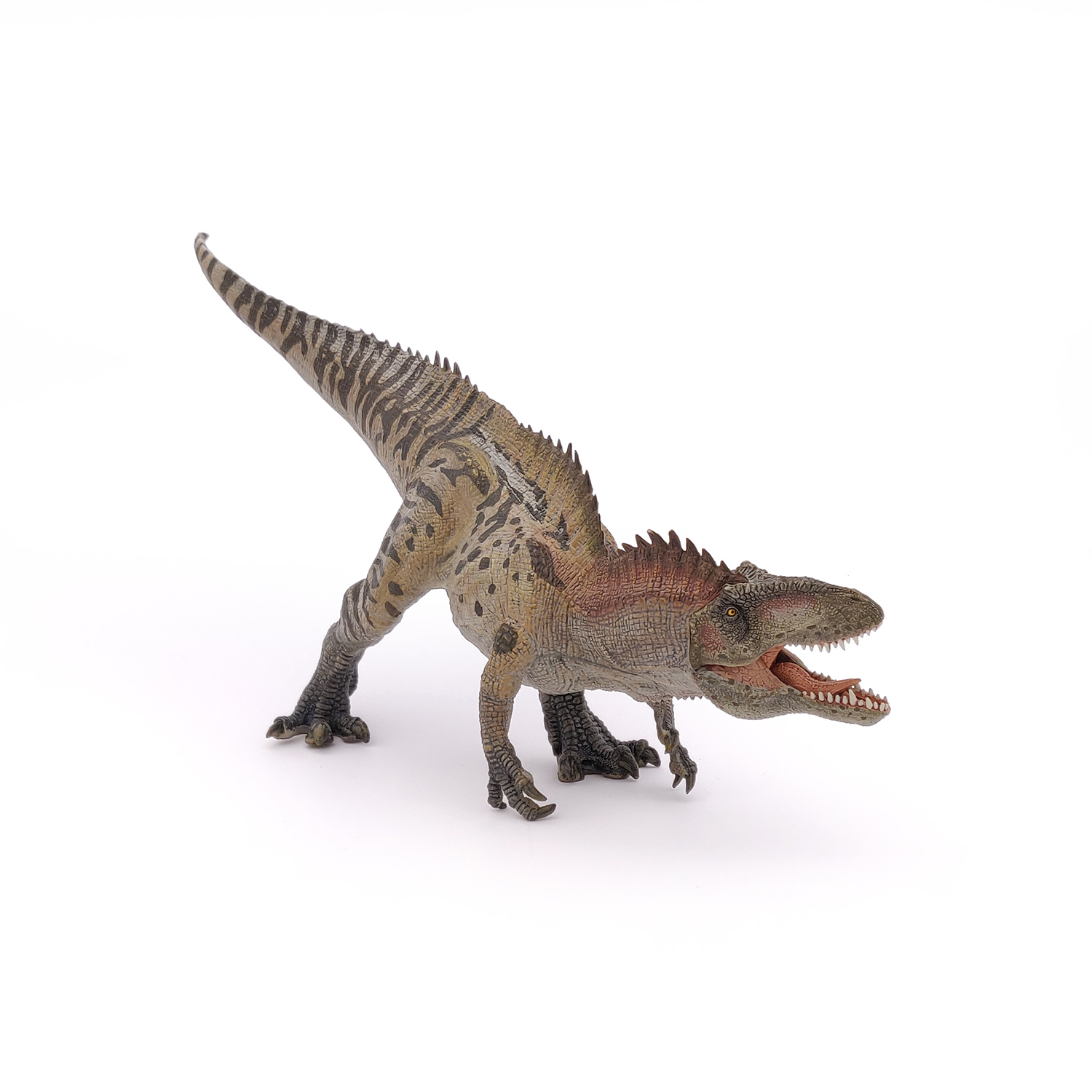 ACROCHANTOSAURYS