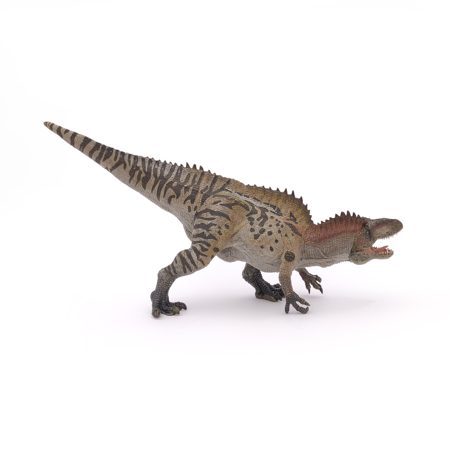 ACROCHANTOSAURYS