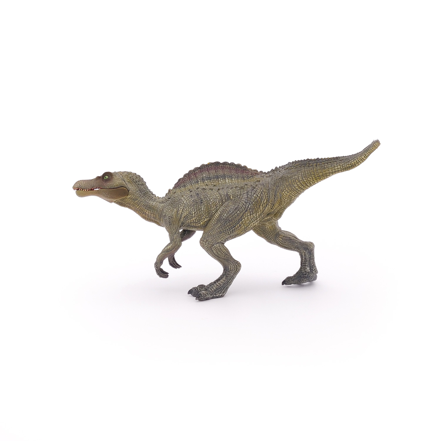 MLADÝ SPINOSAURUS