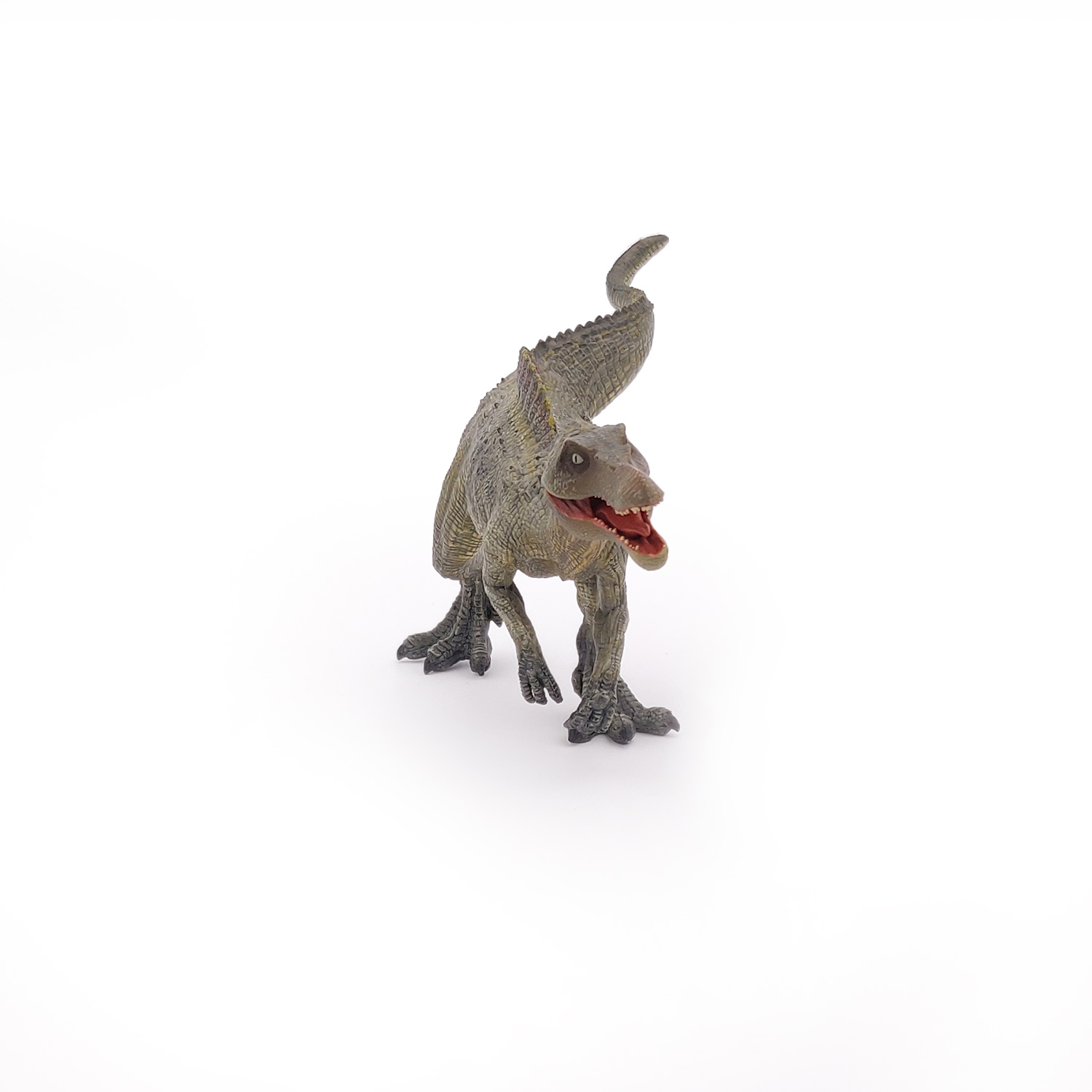 MLADÝ SPINOSAURUS