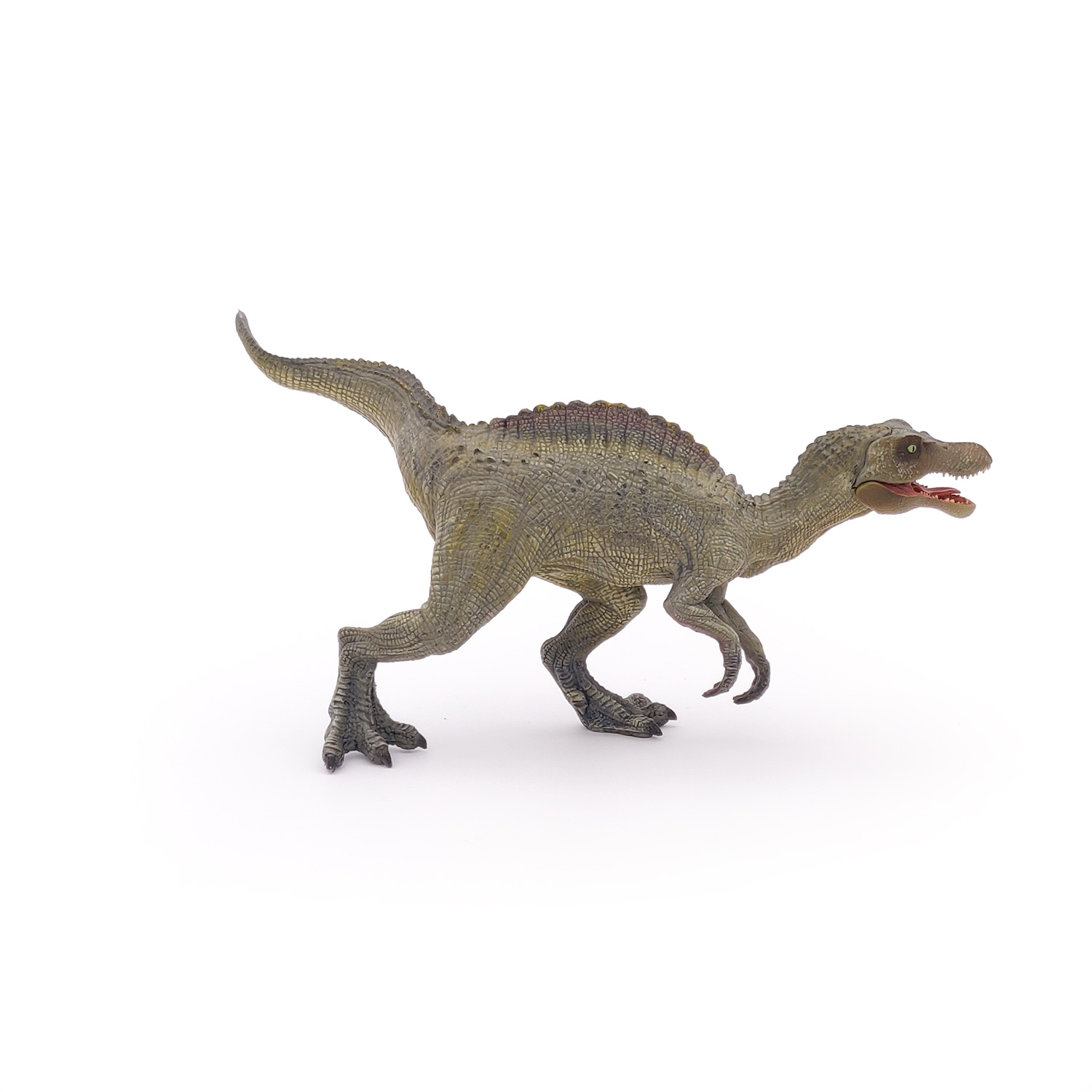 MLADÝ SPINOSAURUS
