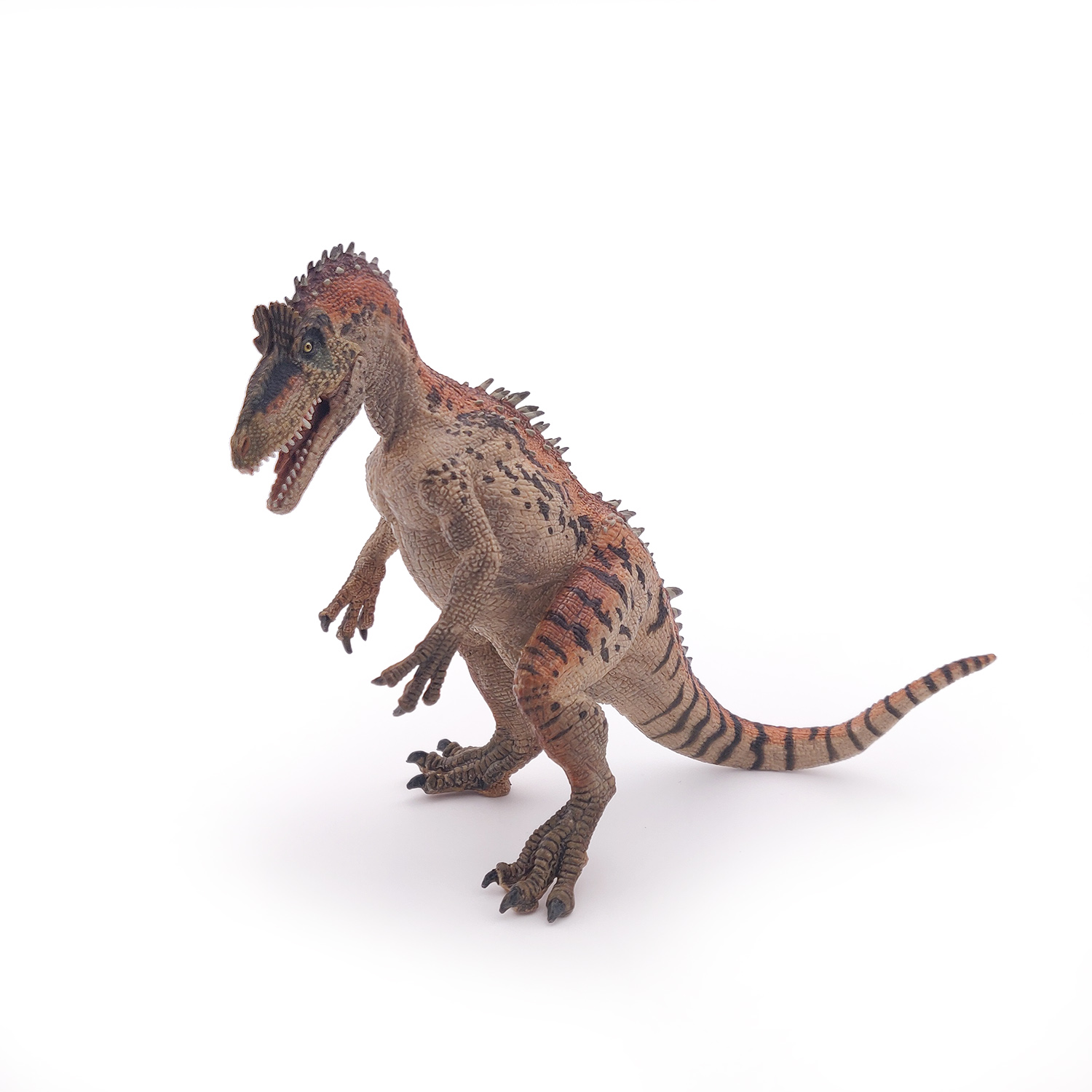 CRYOLOPHOSAURUS