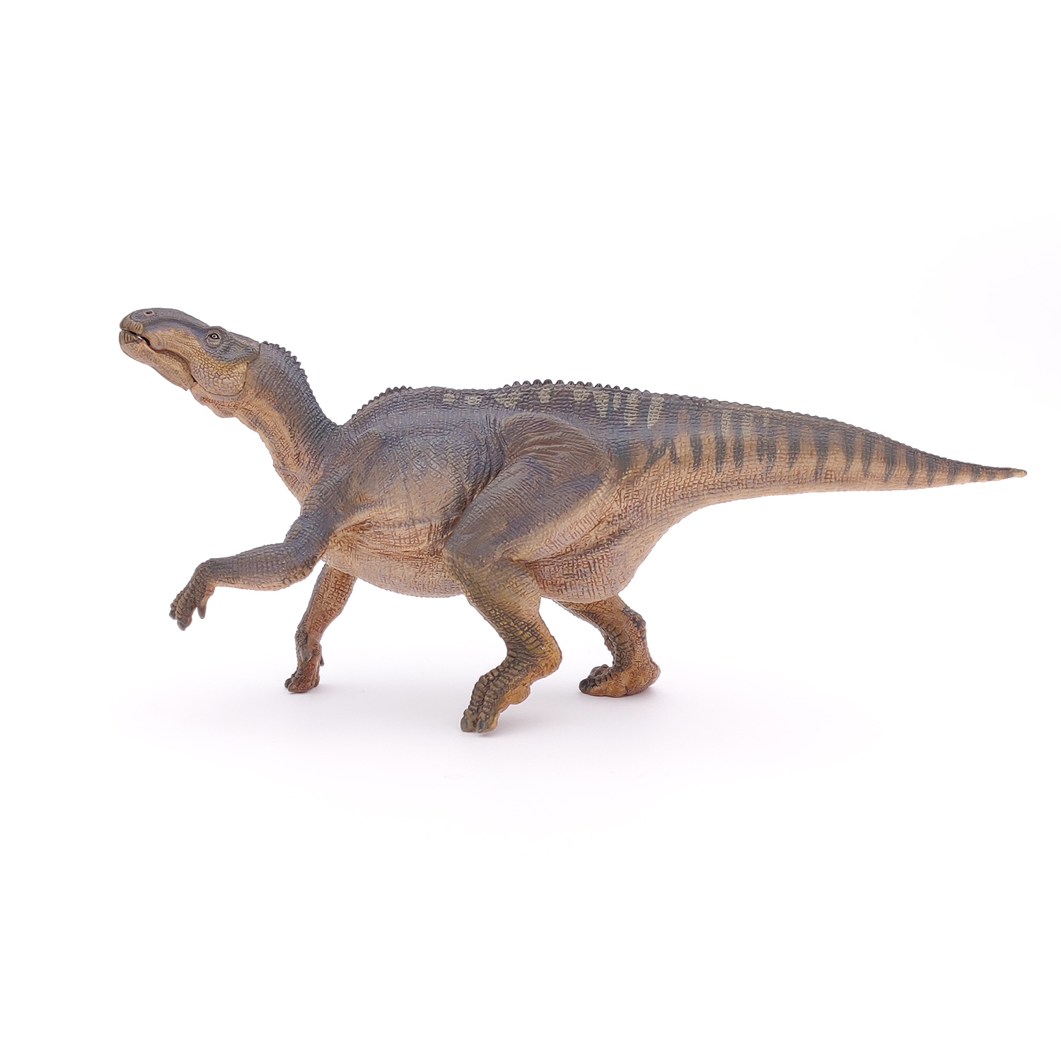 IGUANODON