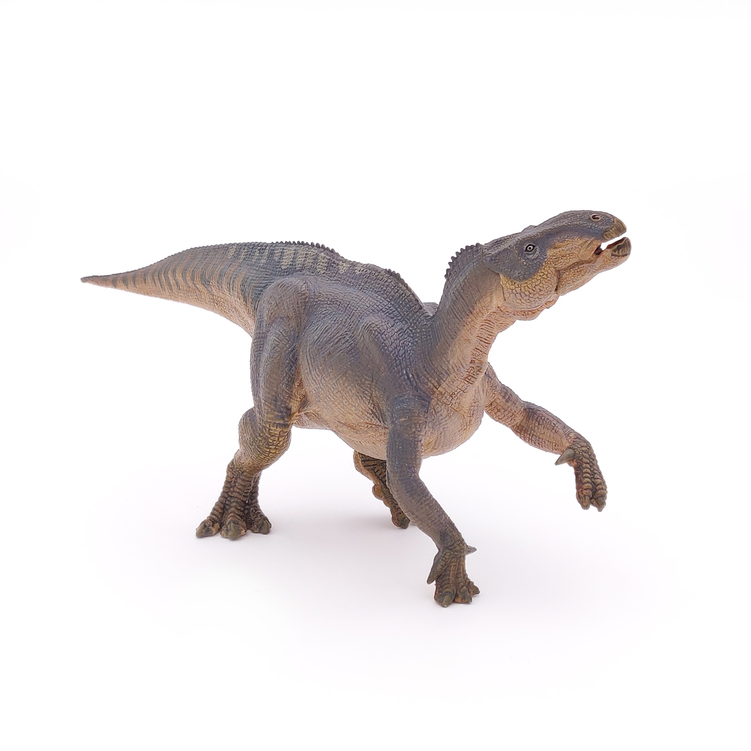IGUANODON