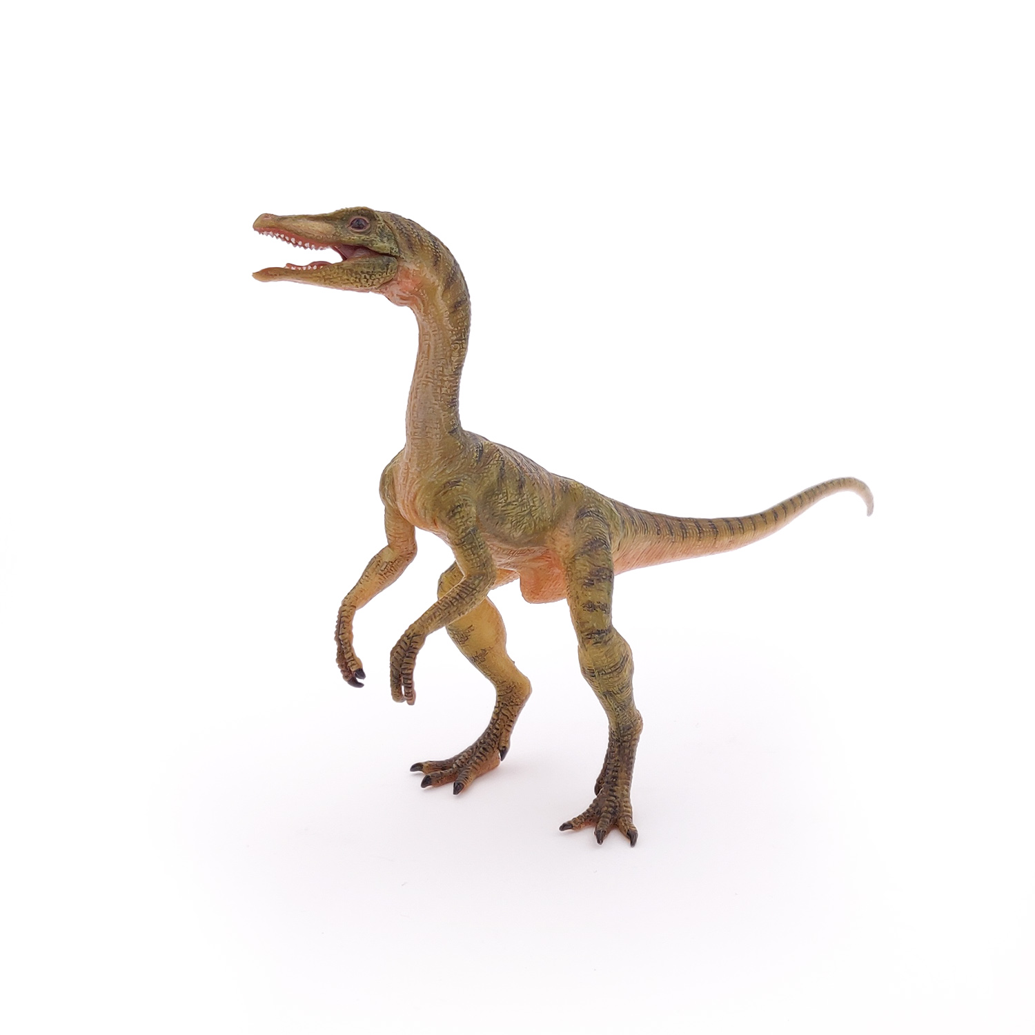 COMPSOGNATHUS
