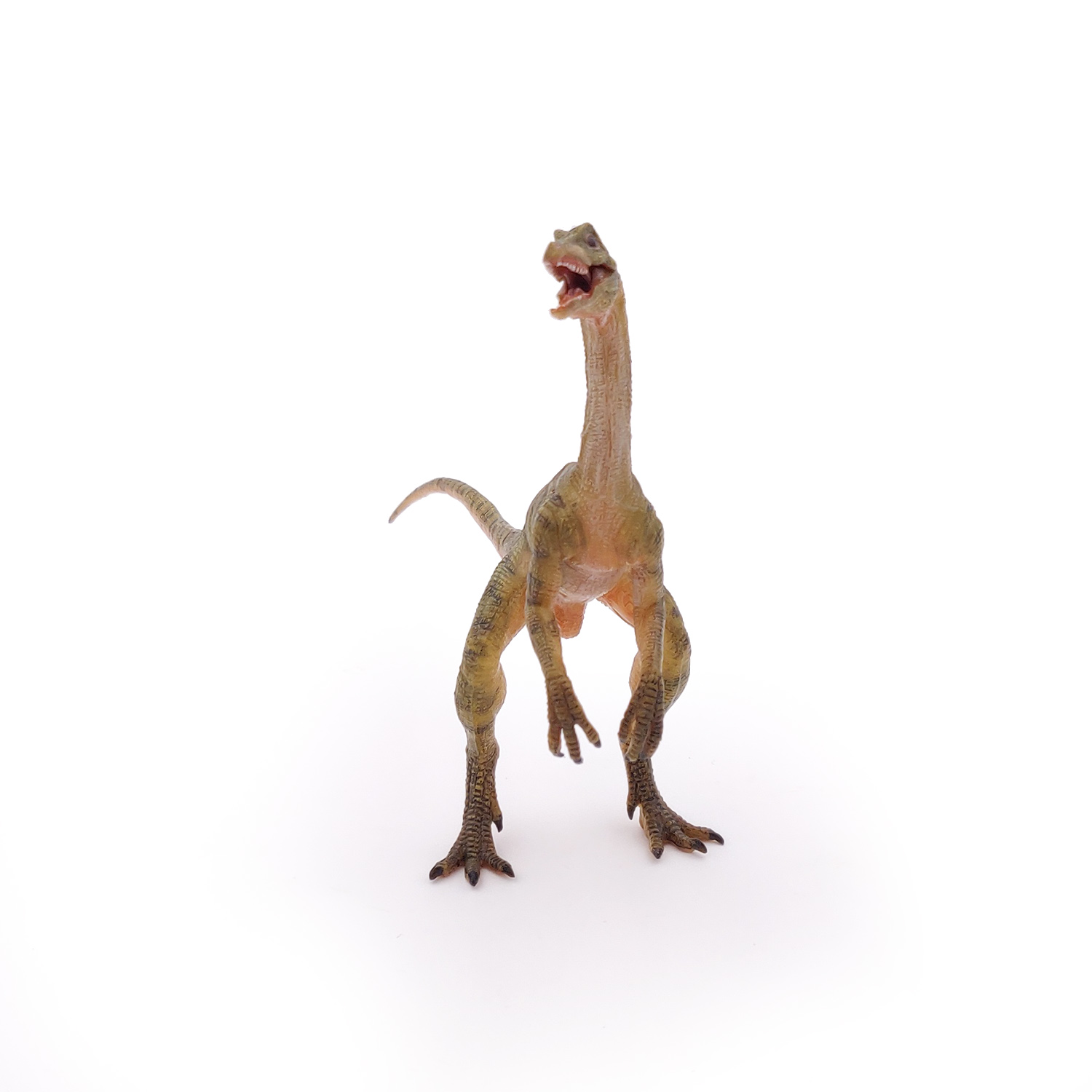 COMPSOGNATHUS