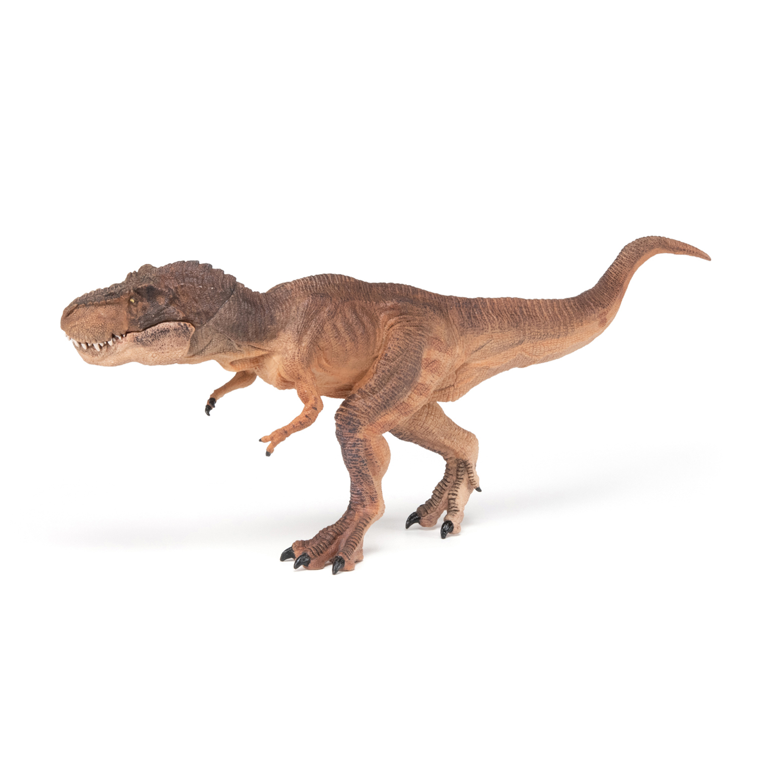 T-REX HNĚDÝ, BĚŽÍCÍ