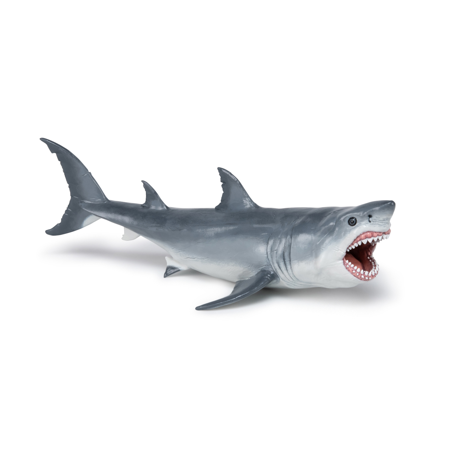 MEGALODON RYBA