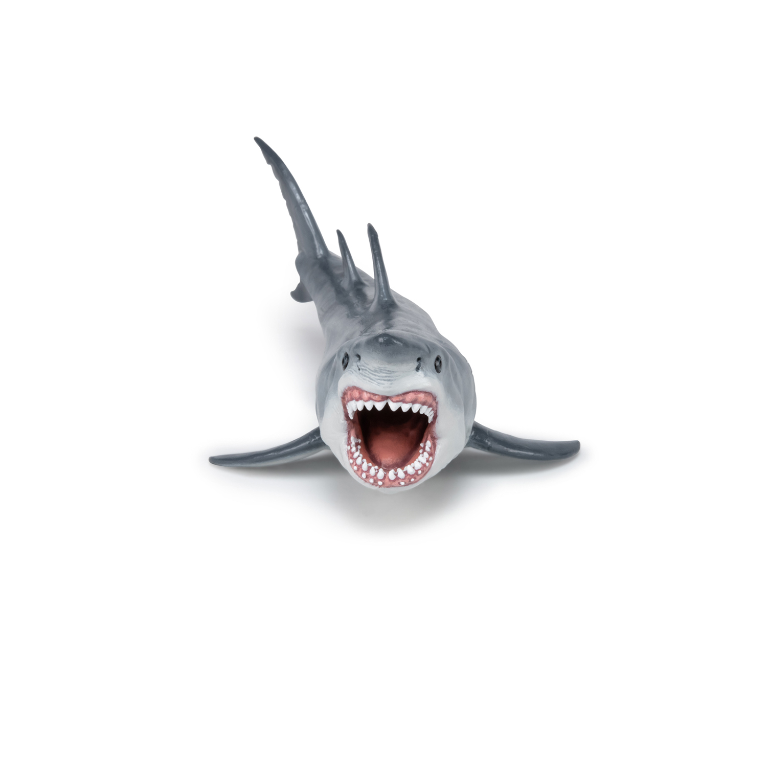 MEGALODON RYBA