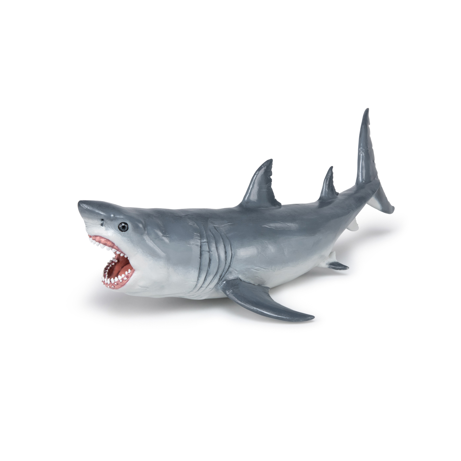 MEGALODON RYBA