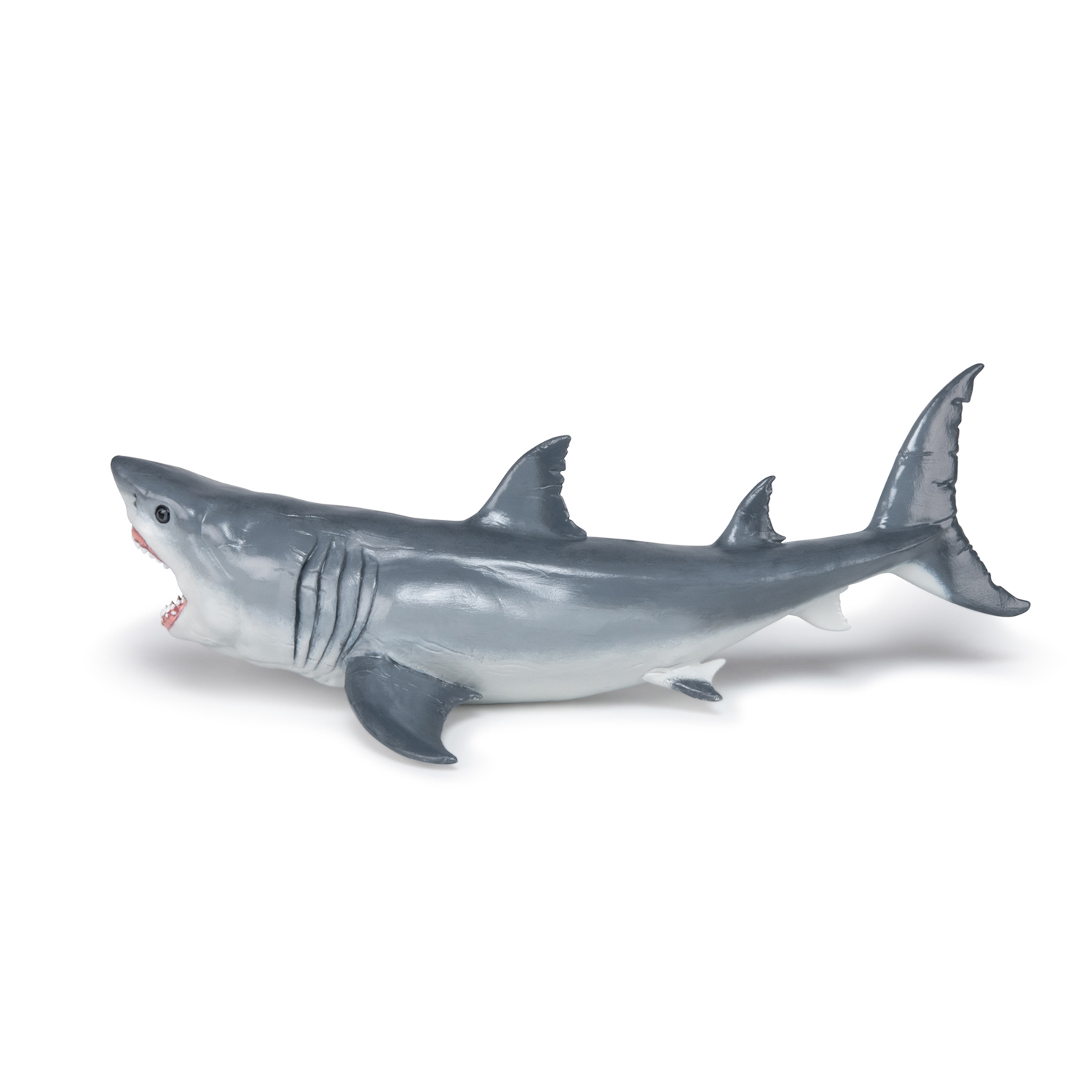 MEGALODON RYBA