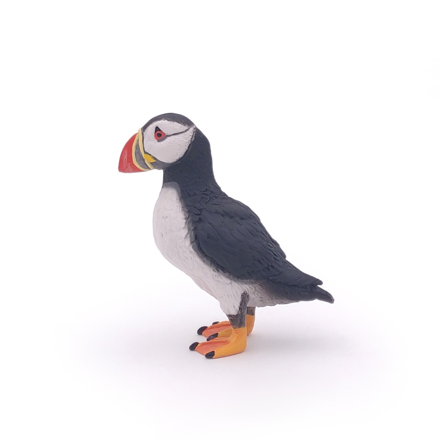 PAPUCHAL