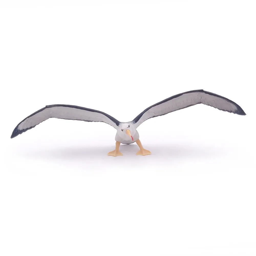 ALBATROS