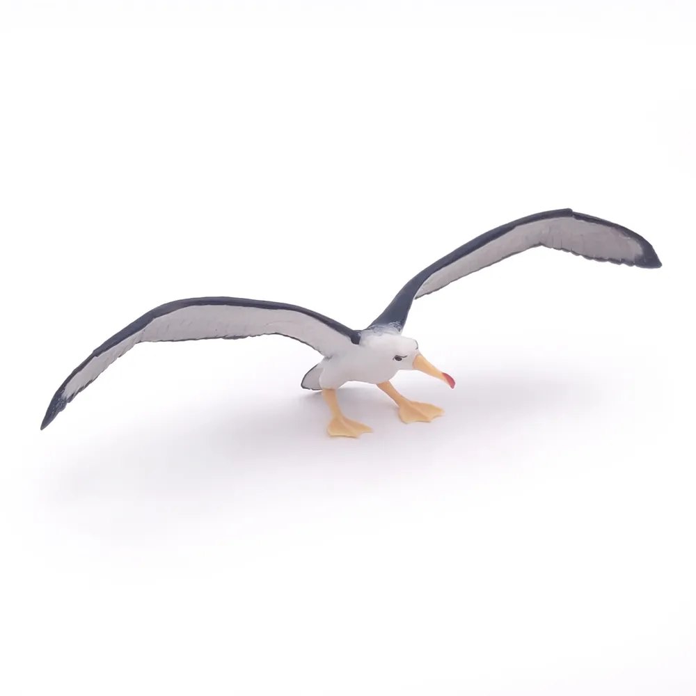 ALBATROS