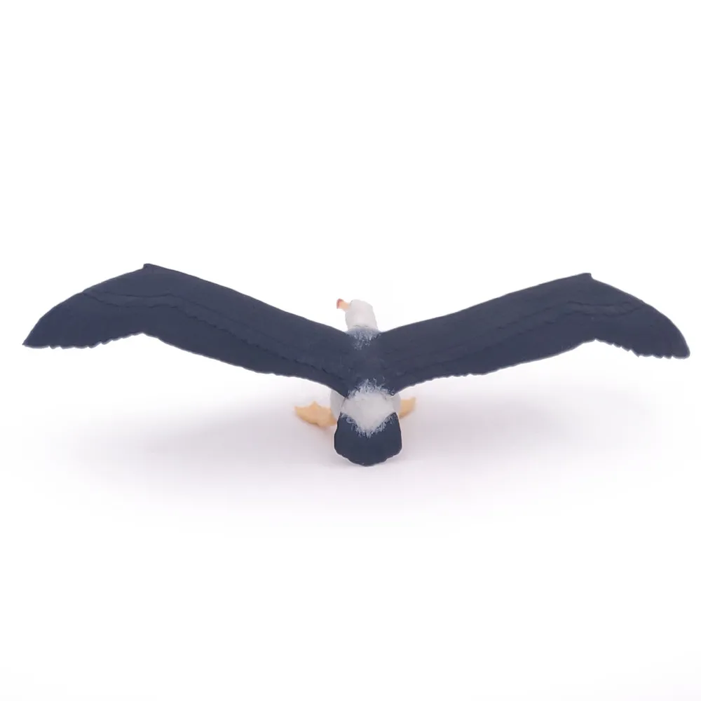 ALBATROS