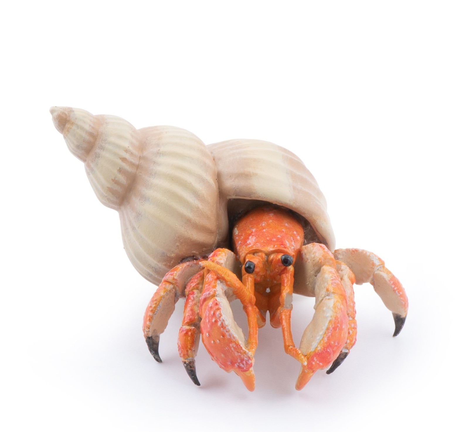 KRAB POUSTEVNÍK