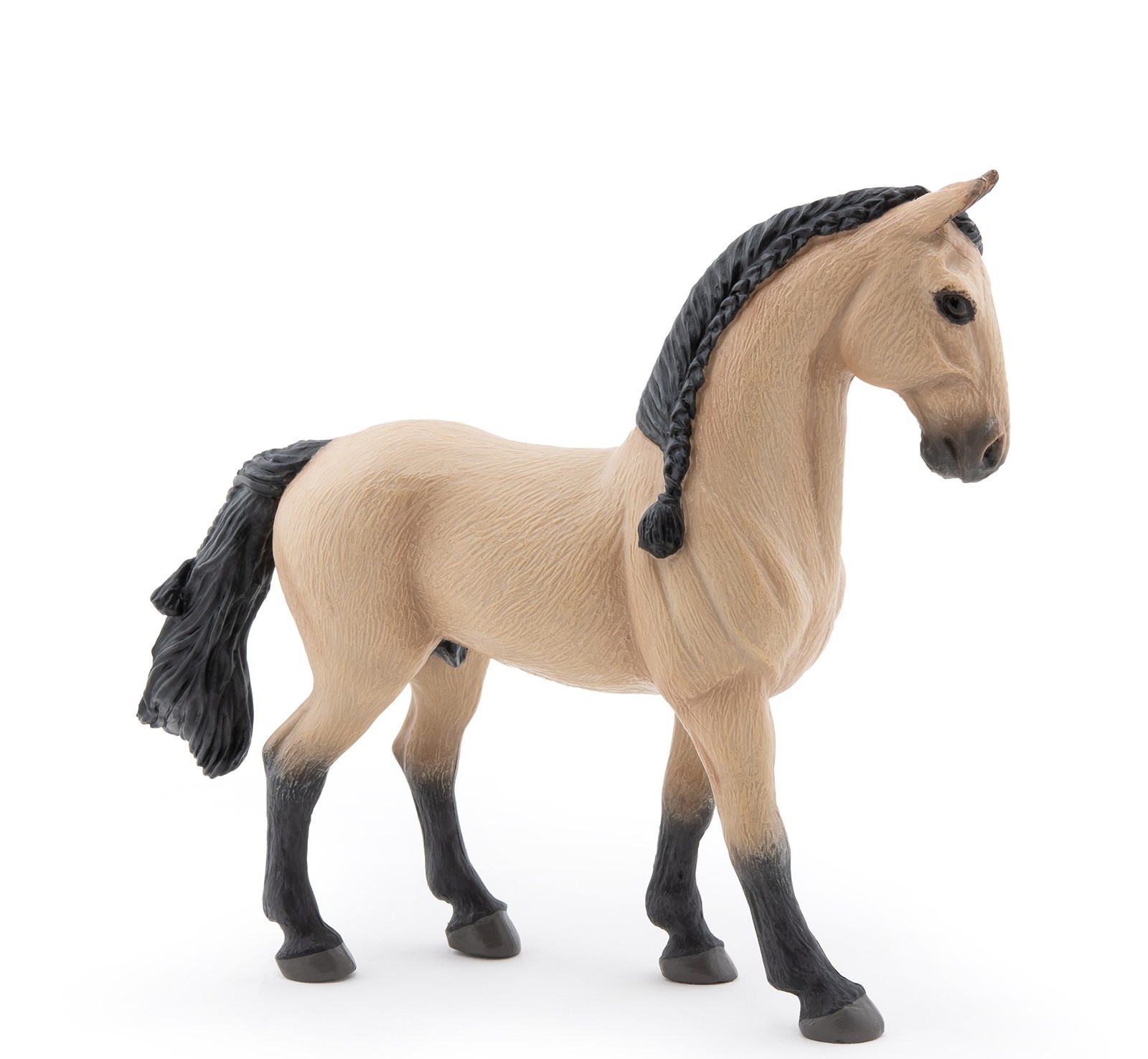 KŮŇ LUSITANO