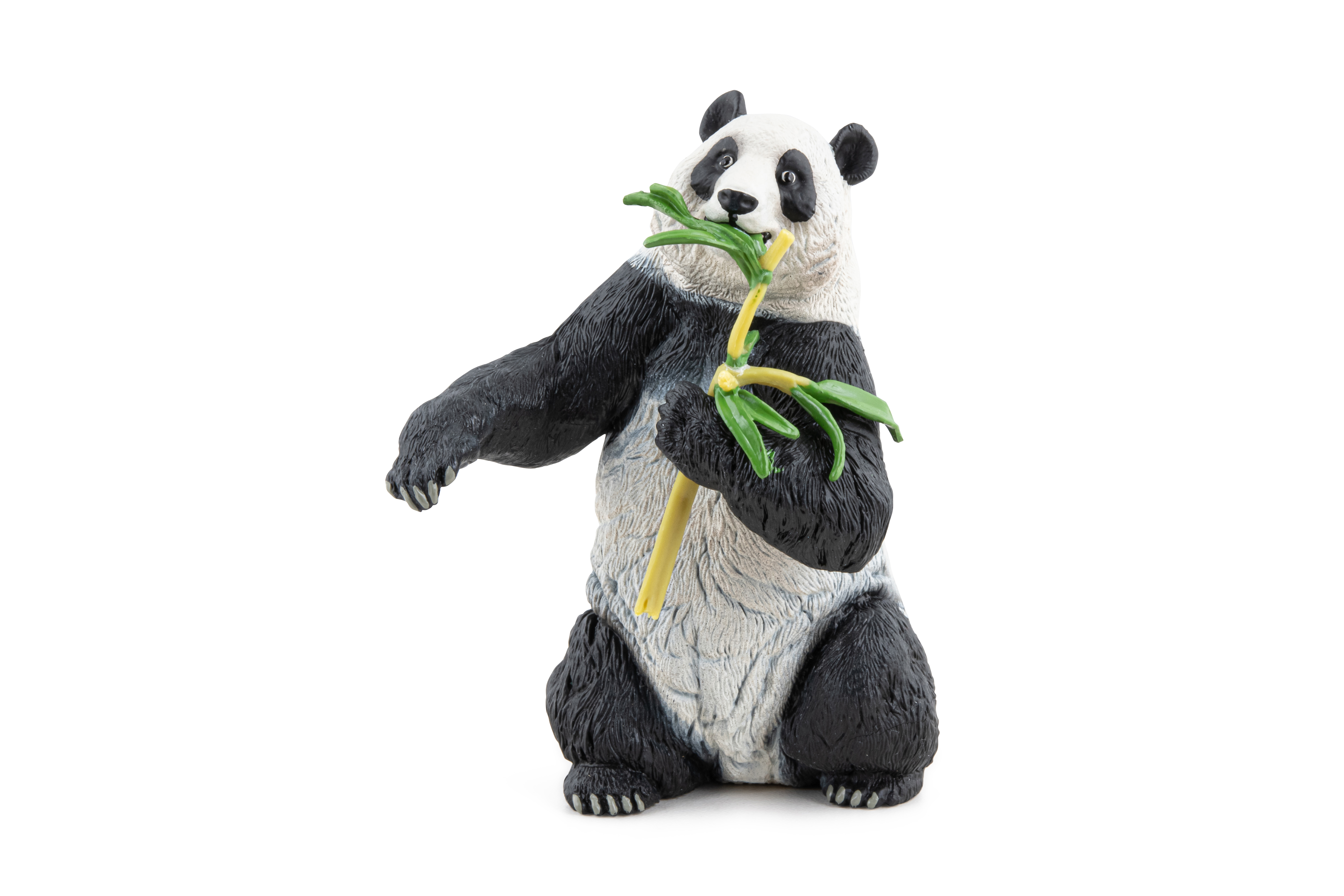 Panda s bambusem