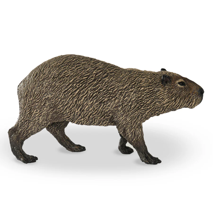 Kapybara