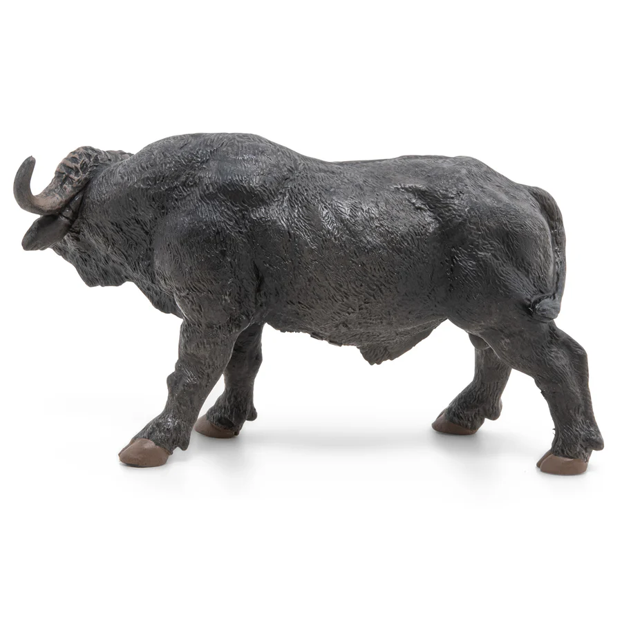 BUVOL AFRICKÝ