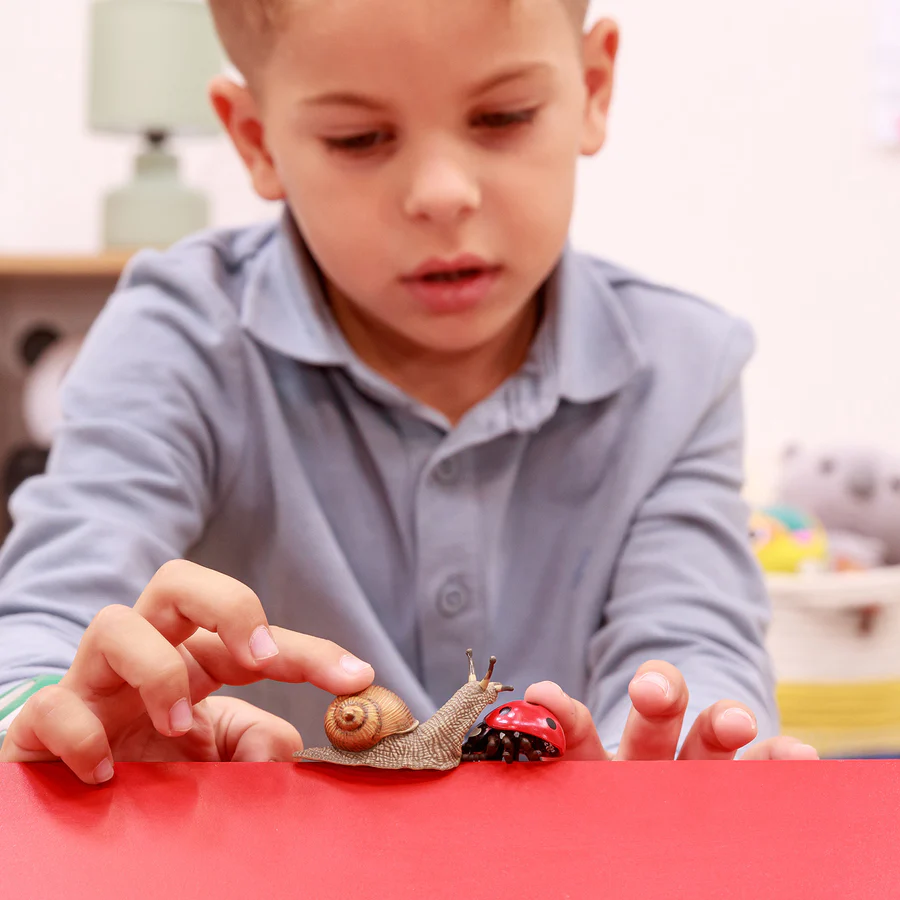 SLUNÉČKO SEDMITEČNÉ beruška