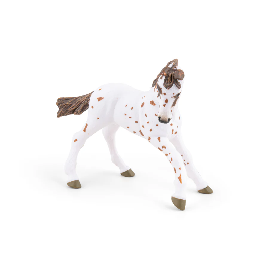 APALOOSA MLÁDĚ