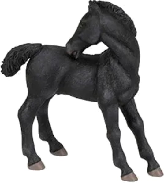 HŘÍBĚ LIPICÁNA S OTOČENOU HLAVIČKOU