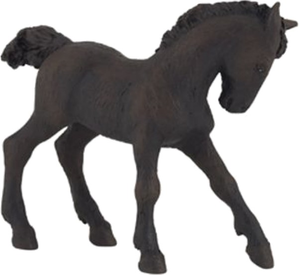 FRÍSKÝ KŮŇ MLÁDĚ