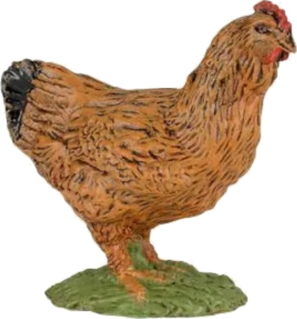 SLEPICE HNĚDÁ