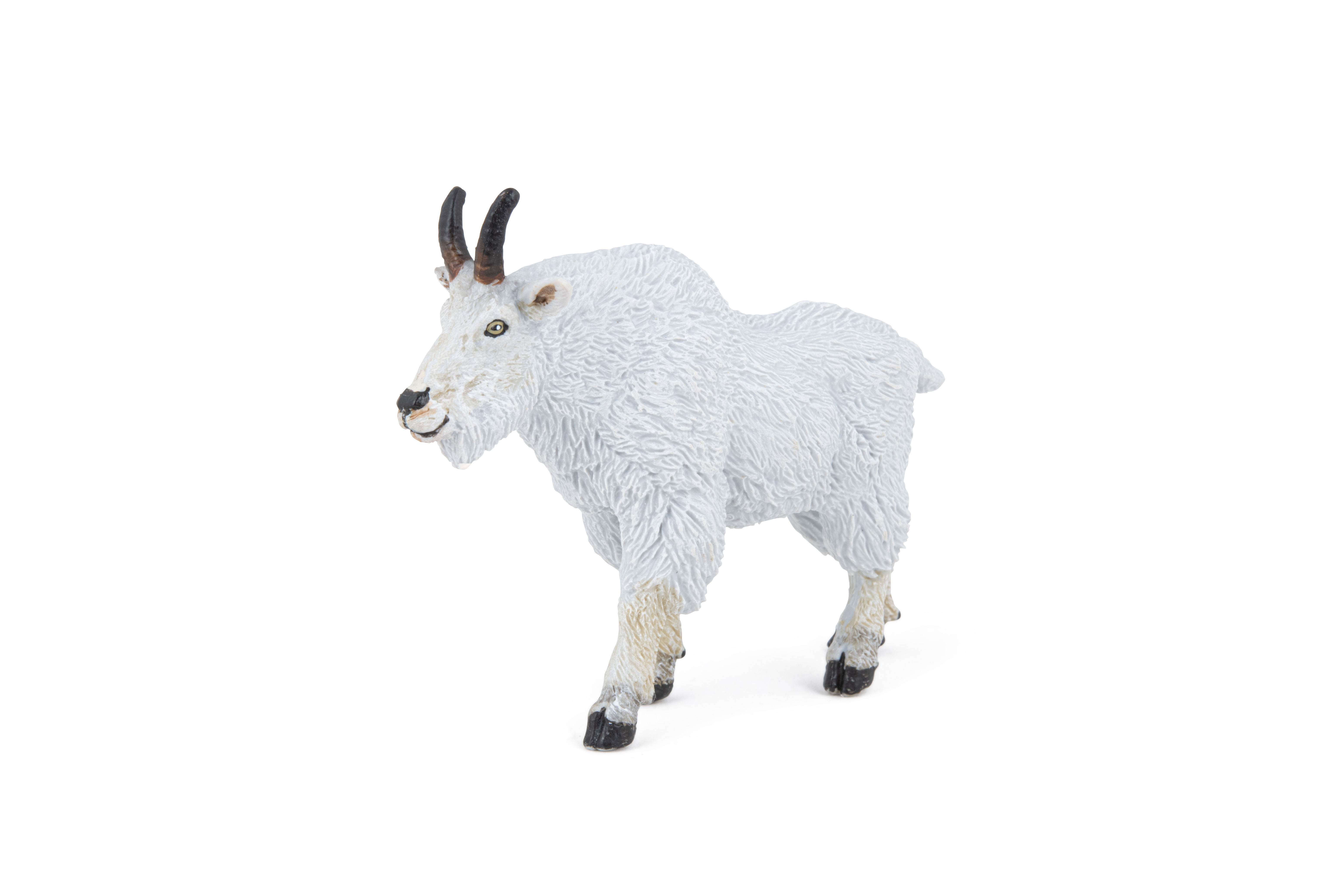 Koza kanadská