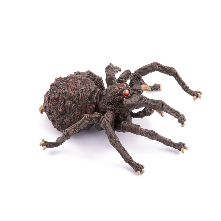 Arachnos