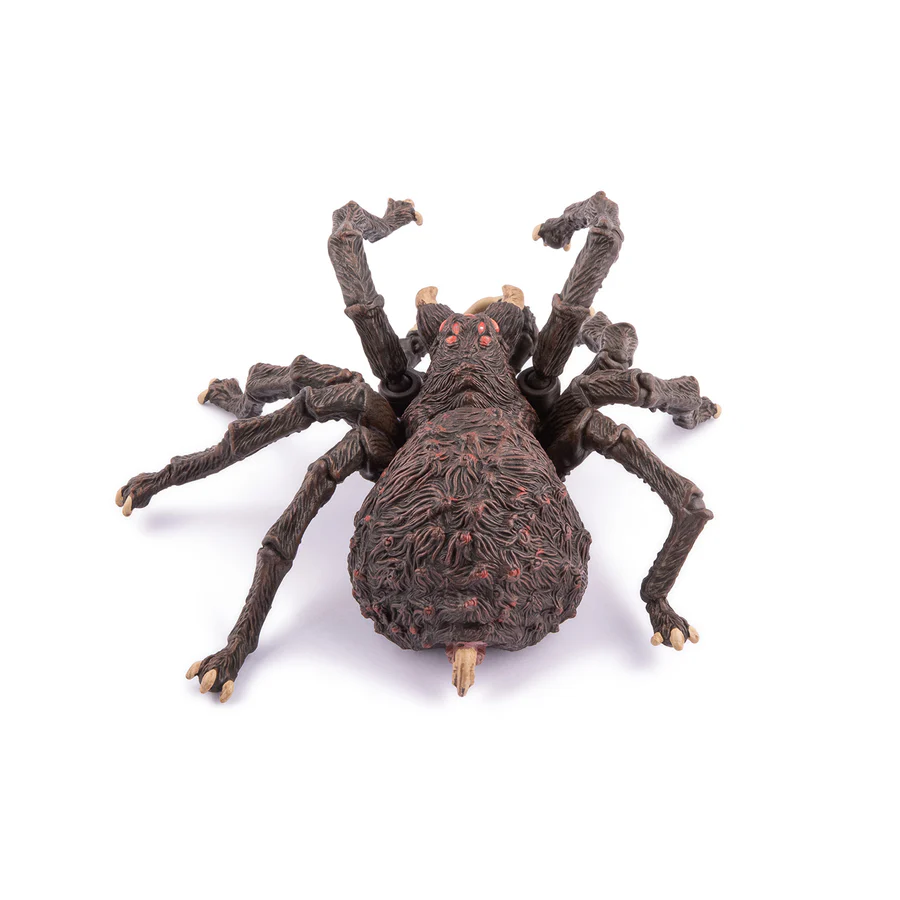 Arachnos
