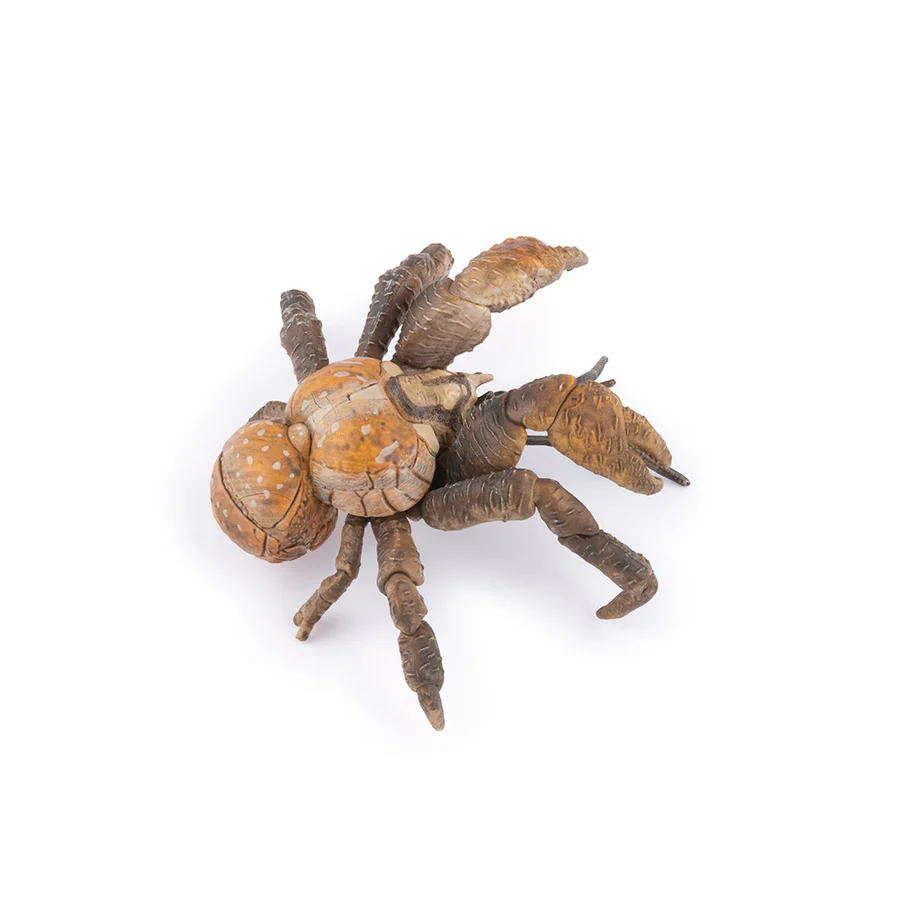 Krab palmový