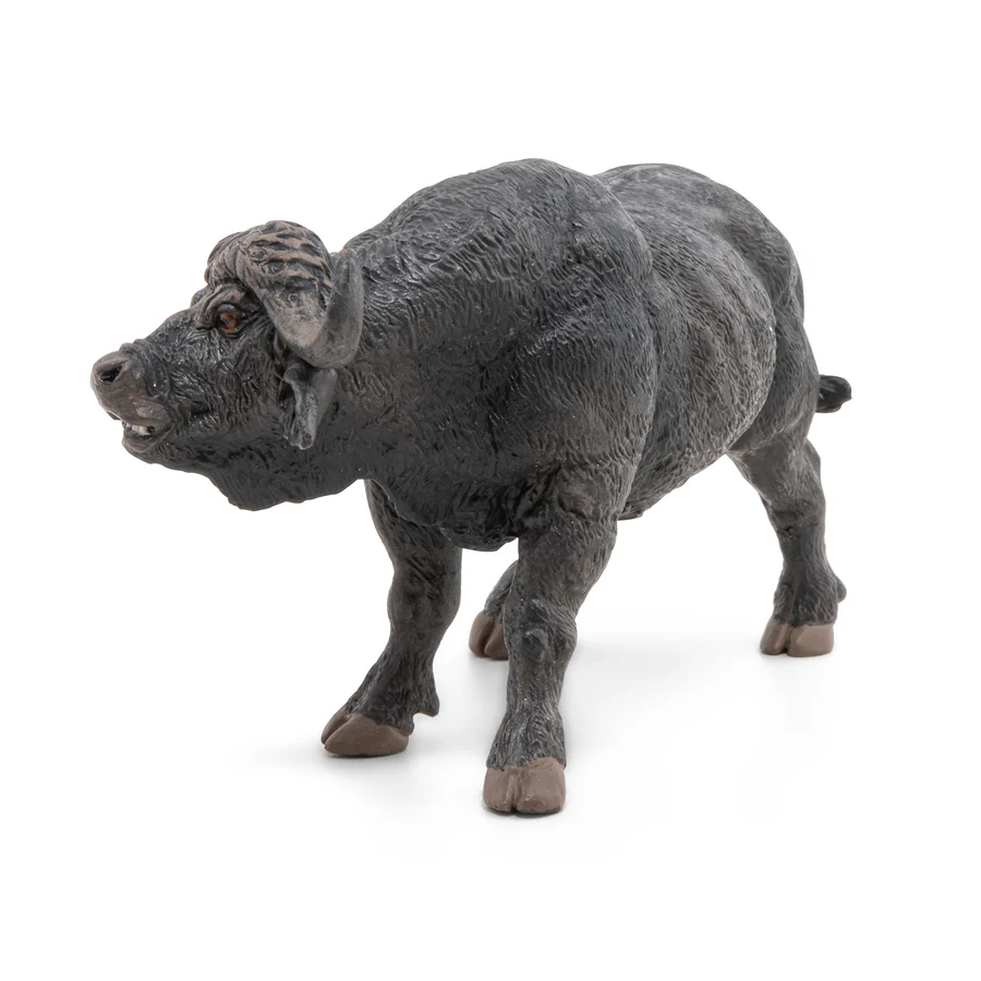 BUVOL AFRICKÝ