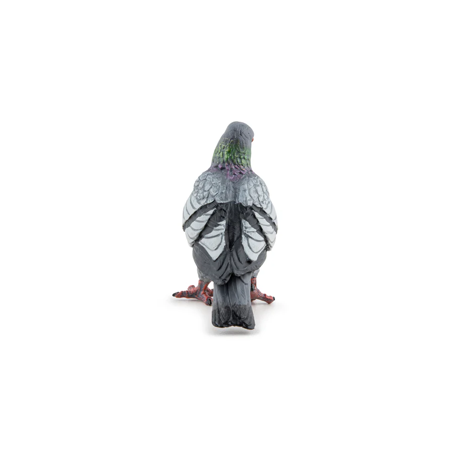 Piegon