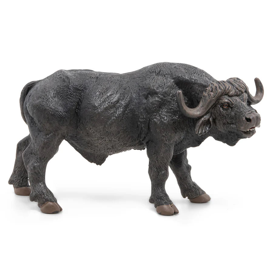 BUVOL AFRICKÝ