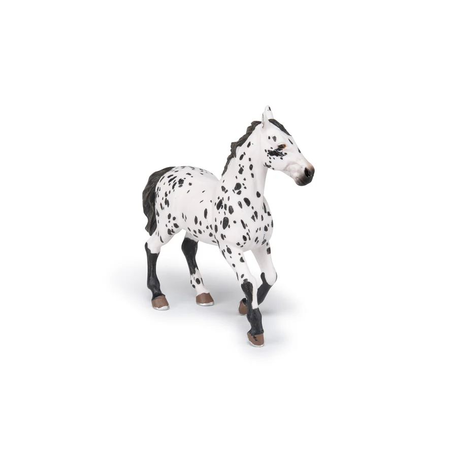 APPALOOSA ČERNÝ