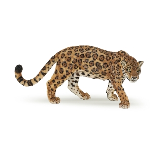 JAGUÁR