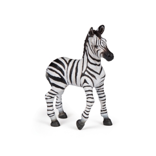 ZEBRA MLÁDĚ