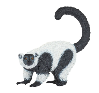 LEMUR VARI