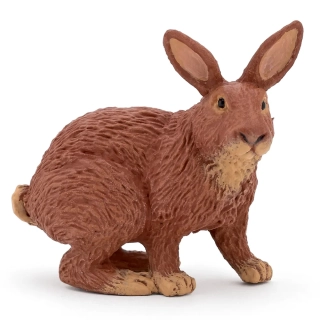 KRÁLÍK HNĚDÝ