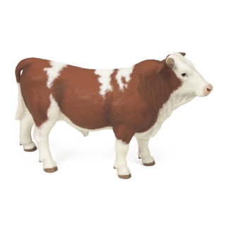 SIMMENTAL BÝK