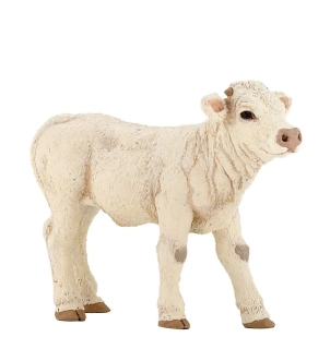 TELÁTKO CHAROLAIS