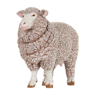 OVCE MERINO