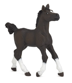 ARABSKÝ KŮŇ MLÁDĚ