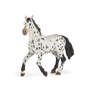 APPALOOSA ČERNÝ